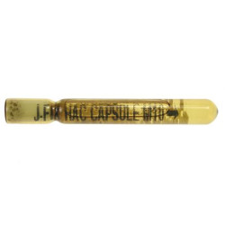 M11x90 Hammer In Capsules (Pack of 10)