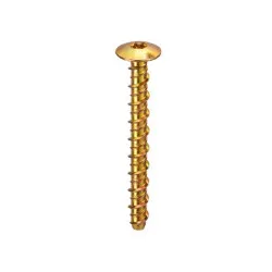 M5x50 Pan T25 Torx Drive Thunderbolt - Yellow Zinc (Pack of 100)