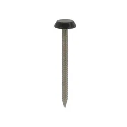 50 x 3.2mm Plastic Headed Nails Stainless Steel - Anthracite (Pack of 100) [Grade 316 A4)