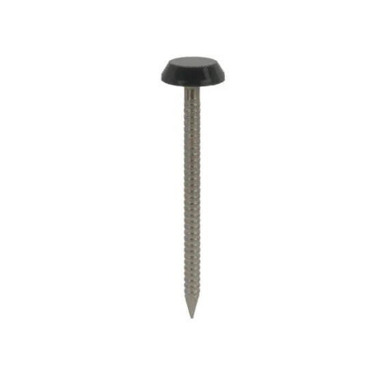 50 x 3.2mm Plastic Headed Nails Stainless Steel - Anthracite (Pack of 100) [Grade 316 A4)