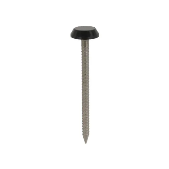 50 x 3.2mm Plastic Headed Nails Stainless Steel - Black (Pack of 100) [Grade 316 A4)