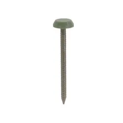 50 x 3.2mm Plastic Headed Nails Stainless Steel - Chartwell Green (Pack of 100) [Grade 316 A4)