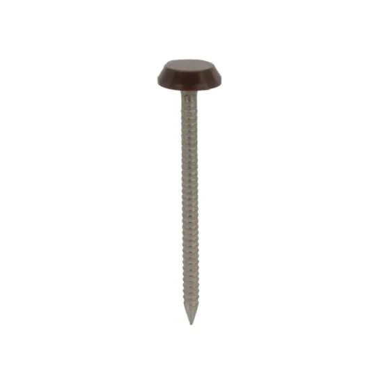 65 x 3.2mm Plastic Headed Nails Stainless Steel - Mahogany (Pack of 100) [Grade 316 A4)