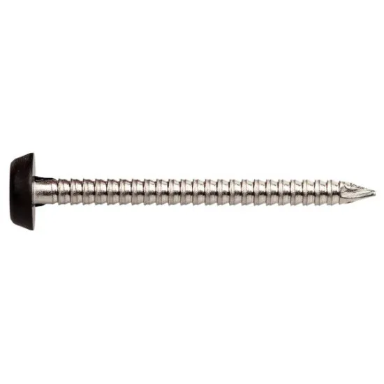2.35 x65mm Plastic Headed Nails Black Top Stainless Steel (Pack of 100) [Grade 316 A4)