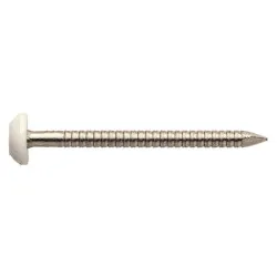 2 x 30mm Plastic Headed Nails White Top Stainless Steel (Pack of 250) [Grade 316 A4)