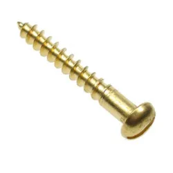 10 x 1 Slotted Round Woodscrews - Brass (Pack of 200)