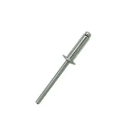 3.2 x 6 Stainless Steel 316-A4 Dome Head Rivets (Pack of 1,000)
