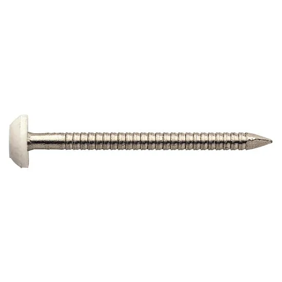 65 x 3.35mm Plastic Headed Nails White Top [A4-316 Stainless Steel] (Pack of 100)